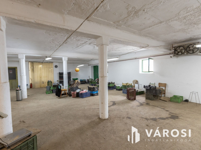 Makói, mezőgazdasági tanya/telephely eladó!