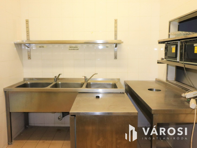 Szabadkígyósi kastély mellett kíváló befektetési lehetőség