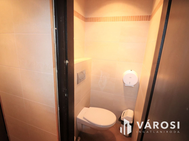 Szabadkígyósi kastély mellett kíváló befektetési lehetőség