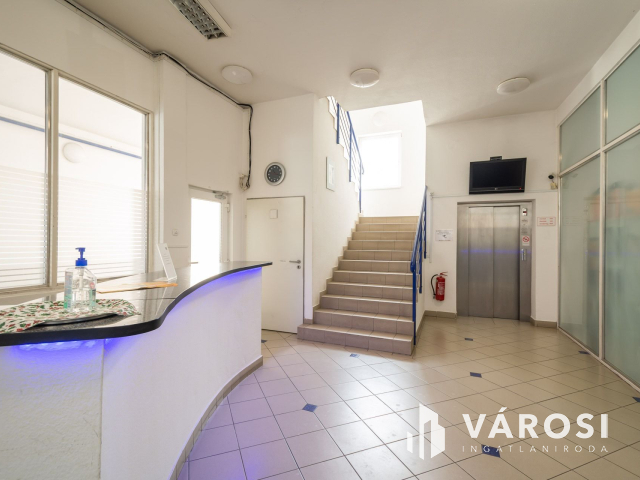 Budai hegyekre panorámás iroda