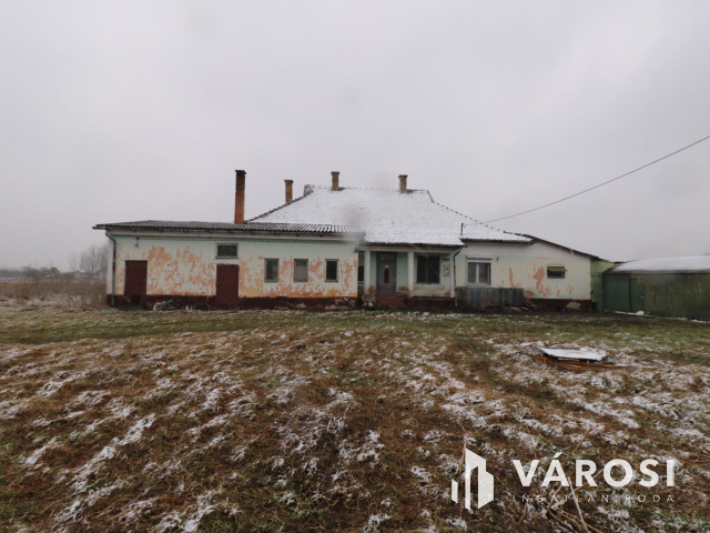 Békéssámsoni major