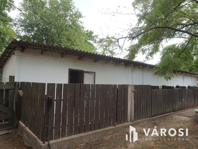 Igényes tanyakomplexum akár falusi turizmusra!