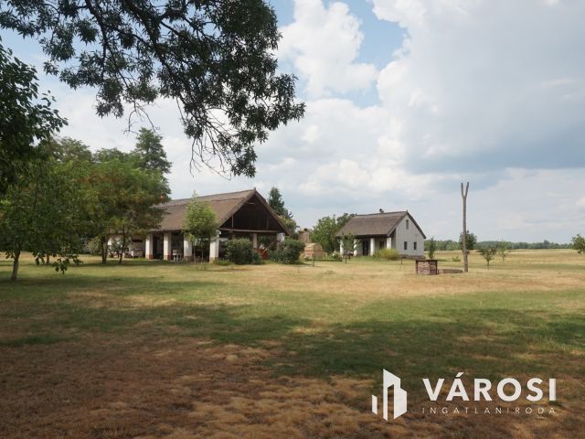 Igényes tanyakomplexum akár falusi turizmusra!