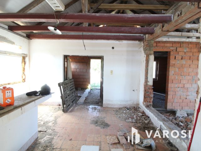 Tanya Csongrád-Bokroson