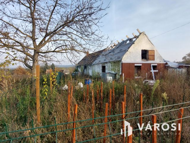 Bazsi szőlő hegyen 1,75 ha terület lakóépülettel eladó