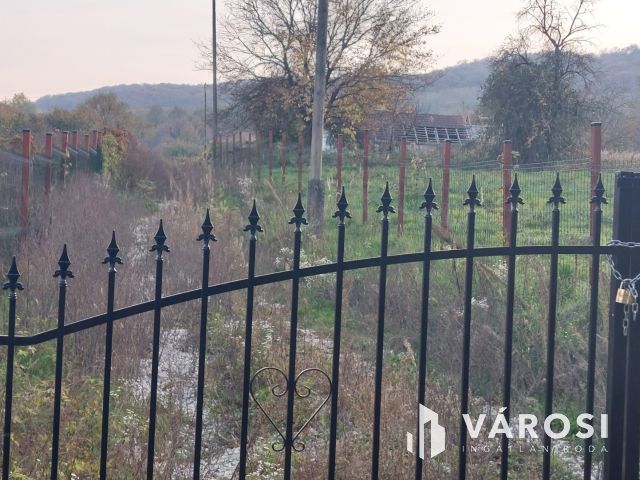 Bazsi szőlő hegyen 1,75 ha terület lakóépülettel eladó