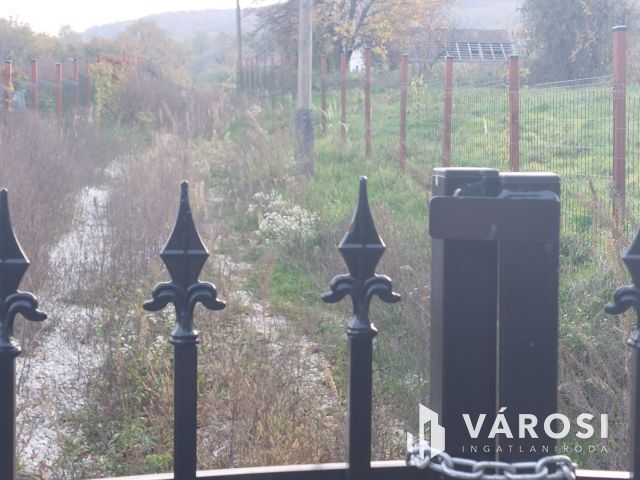 Bazsi szőlő hegyen 1,75 ha terület lakóépülettel eladó