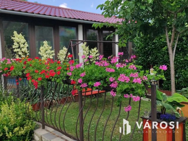 Szép kertben két nagy ingatlan egy áráért Csabrendeken