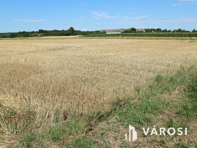 Egyházashollós ,belterületi üres telkek eladók 3x2100m2