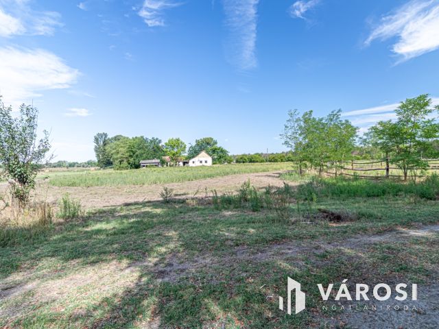 Gazdálkodásra, állattartásra alkalmas Ásotthalmi birtok