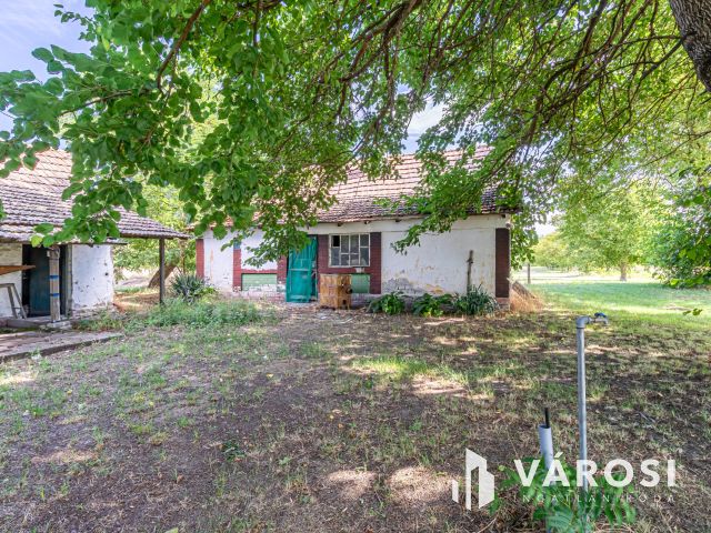 Gazdálkodásra, állattartásra alkalmas Ásotthalmi birtok