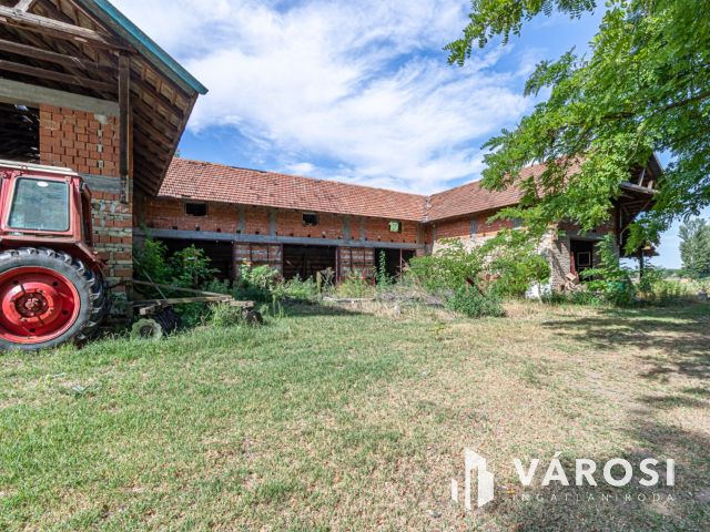 Gazdálkodásra, állattartásra alkalmas Ásotthalmi birtok