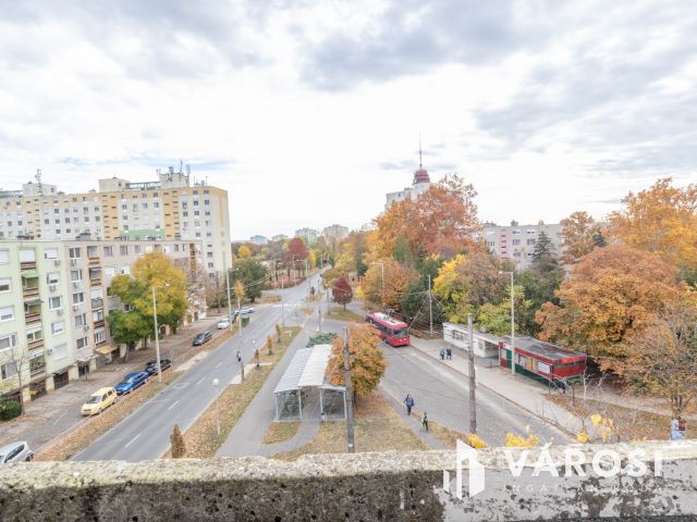 Mindenhez közel Újrókuson