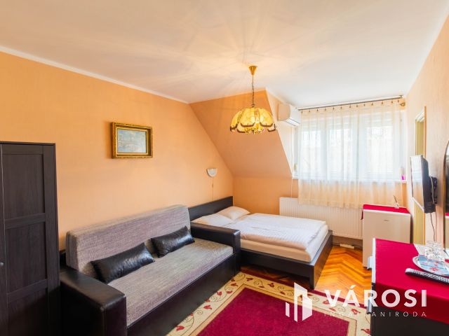 Bejáratott Panzió + egy 100 m2-es ház