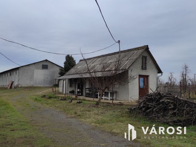 Családi ház, birtok, műhely, cégvásárlási opcióval eladó