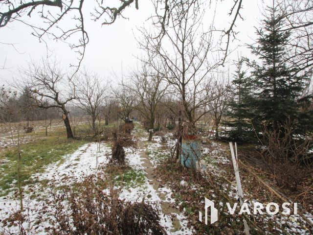 Tágas ház, nagy kert, vidéki hangulat Szombathelyen