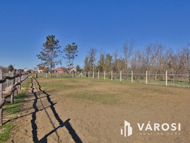 1450 m2-es telek karámmal, ló box-szal, kisházzal eladó