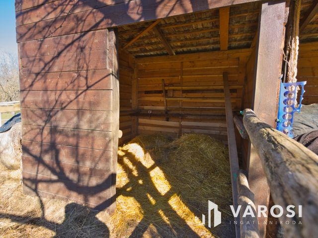 1450 m2-es telek karámmal, ló box-szal, kisházzal eladó