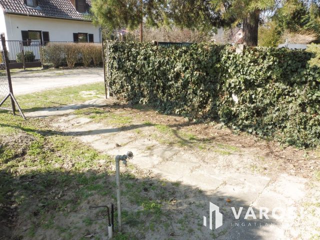 Jó minőségű "Őszibarack" jó áron eladó!