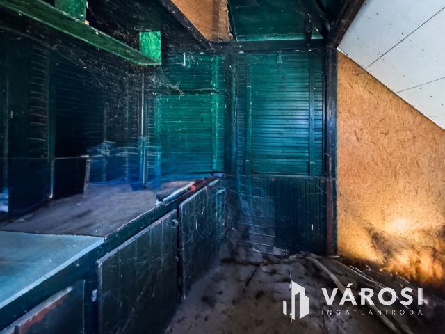 Tágas zártkert termő gyümölcsfákkal a Körös mellett