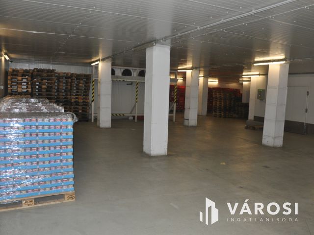 Komplex ipartelep ELADÓ !