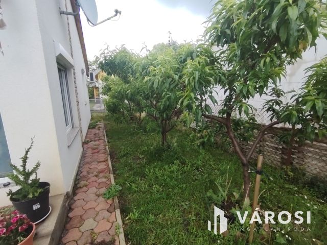 Eladó Tasson hangulatos vizparti nyaraló saját stéggel!