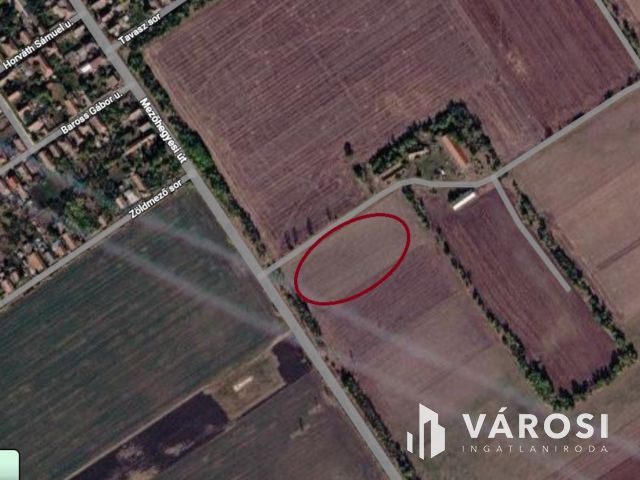 5+1,2 Ha szántóföld Tótkomlós határában