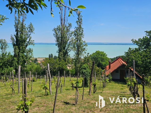 Badacsonyi nyaraló teljes és örök balatoni panorámával eladó