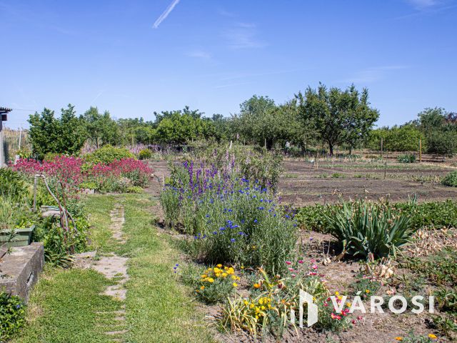 Gyula külterületén 1 szobás téglaház gyümöcsössel
