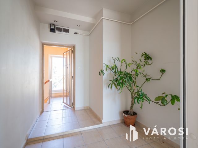 Napfényes, 83 m2 lakás + 102 m2 telekrész üzleti célra